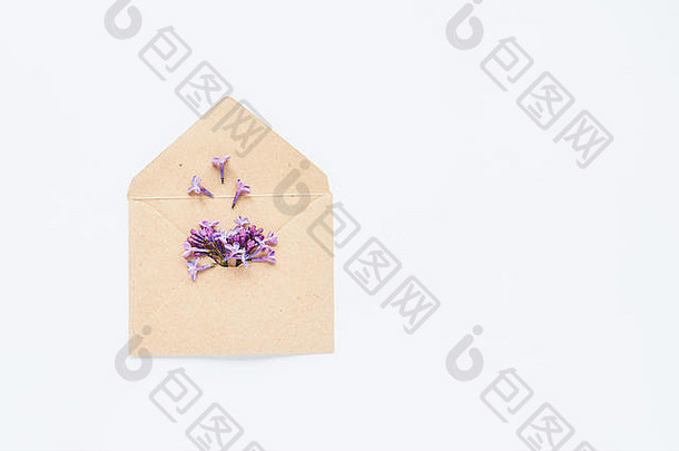 白色卡打开工艺纸信封填满春天开花紫色的淡紫色花铺设白色背景前视图概念爱