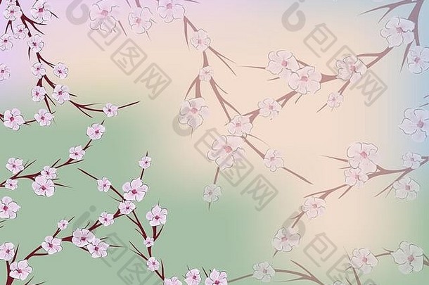 樱花，任何用途的伟大设计。自然无缝图案。绿色背景上粉红色樱花的日本插图