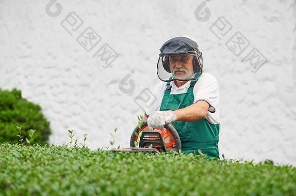 老年人男人。景观采取护理植物花园前面视图高级工人穿统一的保护耳机脸面具切割杂草丛生的灌木电修剪机