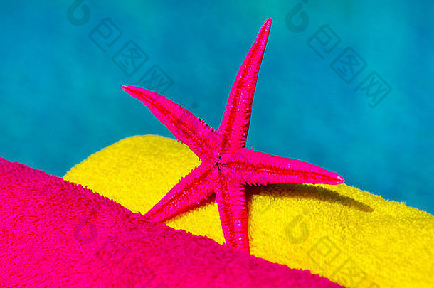 带毛巾的粉红色海星靠近水面
