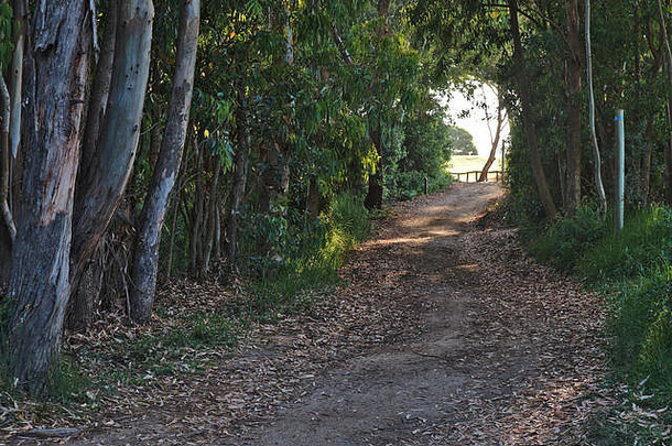 徒步旅行路径为什么洛伦科小道飞行棋15泻湖阿尔加夫葡萄牙
