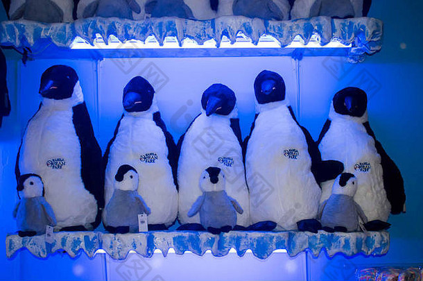 2019年10月26日——菲律宾马尼拉：在马尼拉海洋公园，<strong>企鹅玩具</strong>摆在架子上出售