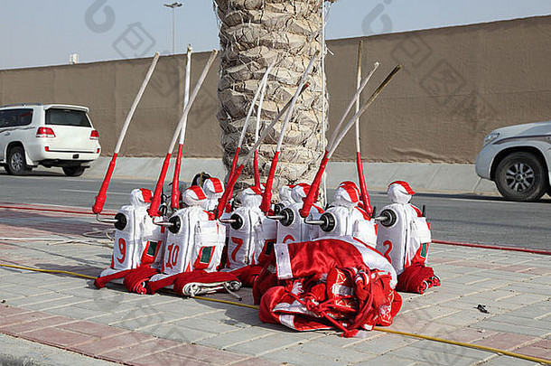 骑师机器人骆驼比赛跟踪多哈回合谈判卡塔尔中间东