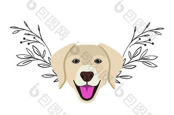 白色背景上可爱的拉布拉多猎犬的头部