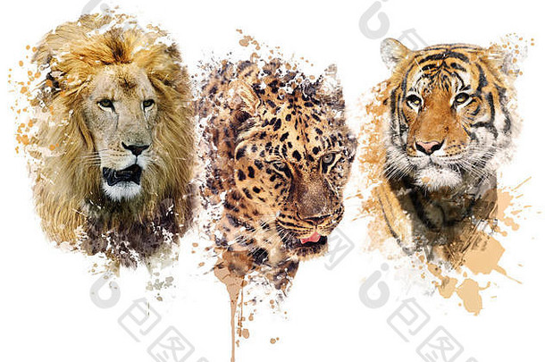 狮子、豹子和老虎肖像的数字绘画