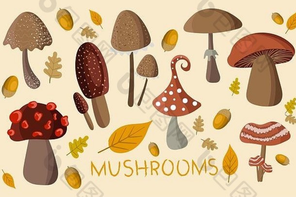 背景是可爱的蘑菇系列。儿童创意蘑菇贴纸、产品标签或农民标志。。