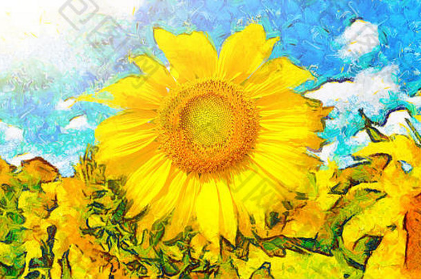向日葵画。向日葵的背景。黄色野花的全景画。
