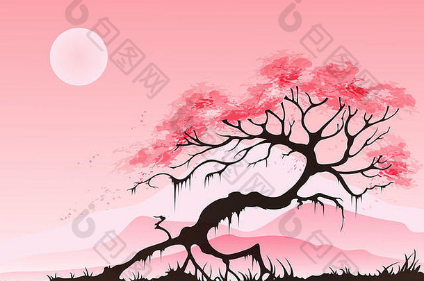 春天景观樱桃开花山粉红色的背景