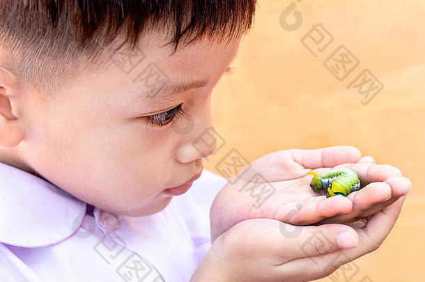 孩子持有绿色毛毛虫手毛毛虫手模糊背景关闭美丽的绿色茶毛毛虫
