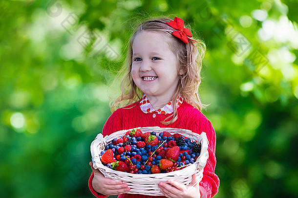 孩子挑选浆果农场女孩吃草莓树莓蓝莓黑莓红色的黑色的醋栗