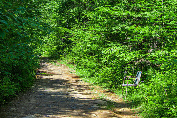 单金属草坪上椅子坐在边缘徒步旅行小道森林