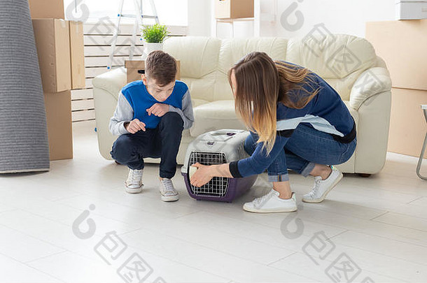 苗条的年轻母亲和小儿子把他们美丽的灰色苏格兰折叠猫放进客厅的新公寓。传统的概念