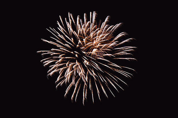 夜空中五颜六色的烟花。新年庆祝烟花。抽象烟火在黑色背景上隔离，文本有自由空间