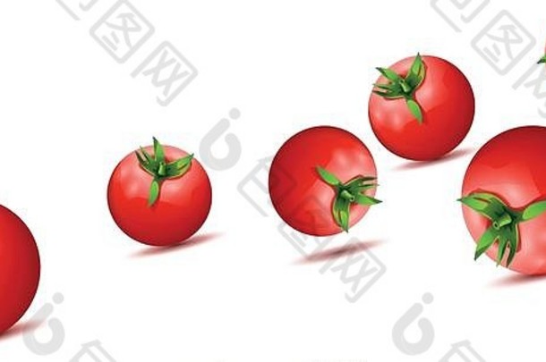 番茄13