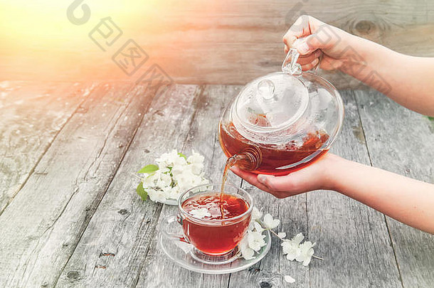 女孩倒热Herbal茉莉花茶透明的玻璃杯木表格