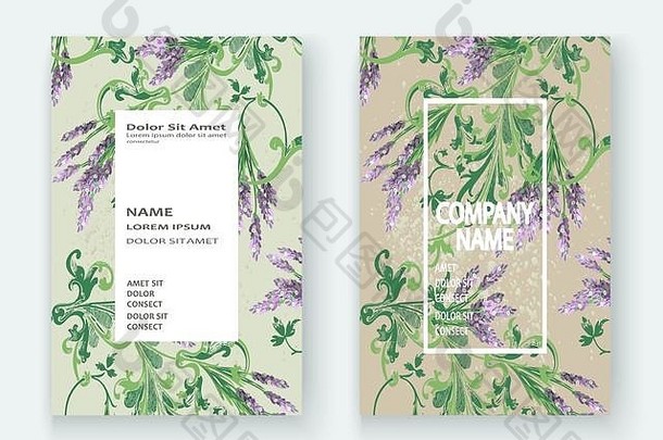 薰衣草花模式封面设计手画有创意的花优雅的时尚的艺术背景开花绿色植物分支图形插图