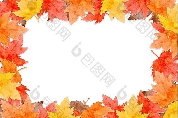 框架红色的叶子秋天概念孤立的白色背景平躺前视图复制空间