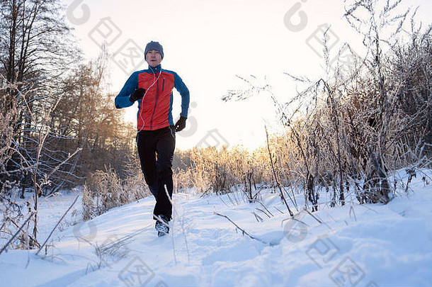 冬日森林里，运动员在树林中奔跑的照片