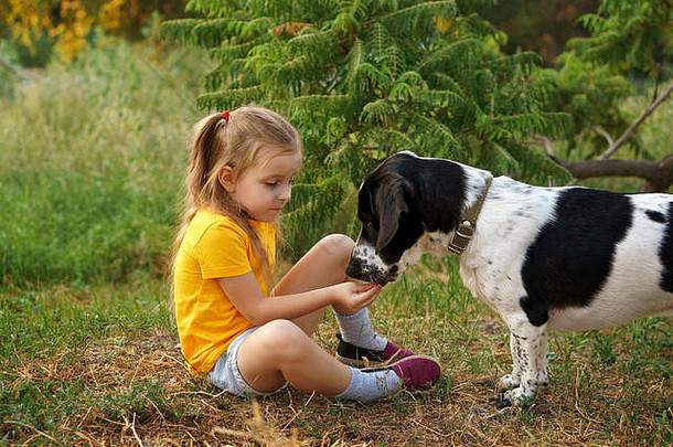 女孩杂种狗在户外孩子喂养宠物手孩子们动物