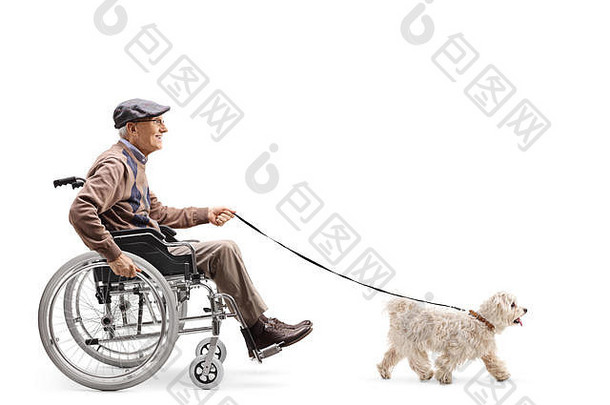 一位老人坐在轮椅上，在白色背景下独自遛狗的全长侧面照片
