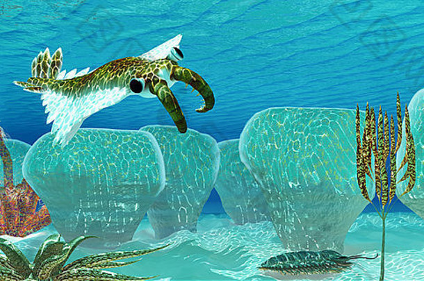 anomalocaris无脊椎动物捕食者寒武纪海洋偷偷三叶虫最喜欢<strong>的</strong>猎物叠层石