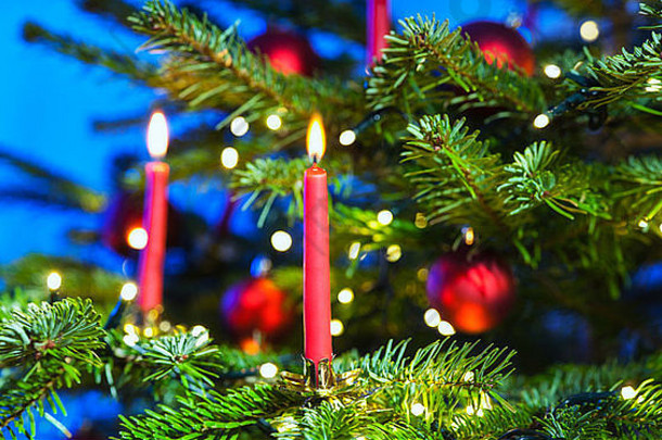 <strong>圣诞</strong>树上的红蜡烛和蓝色背景
