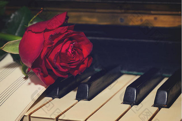 钢琴上有音符纸的红玫瑰