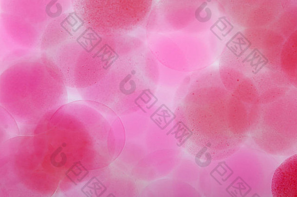 微观半透明的粉红色的球水