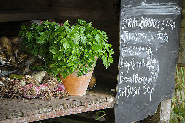 在英国西利岛，为餐桌上出售的黑板、香草和蔬菜定价