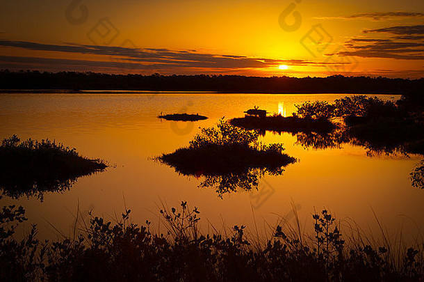 日落之湖，美国佛罗里达州泰特斯维尔梅里特岛国家野生动物保护区黑点野生动物大道