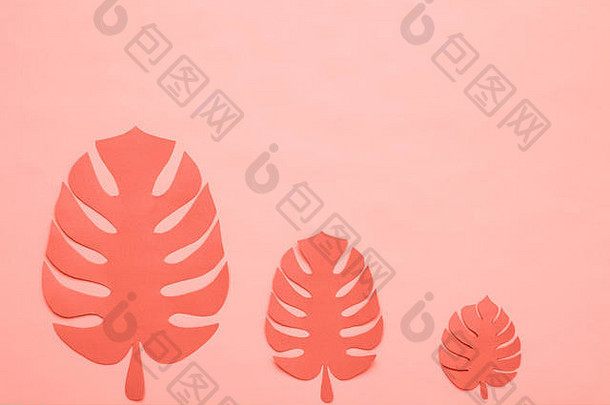 粉色背景上的时尚珊瑚色剪纸热带树叶，俯视图