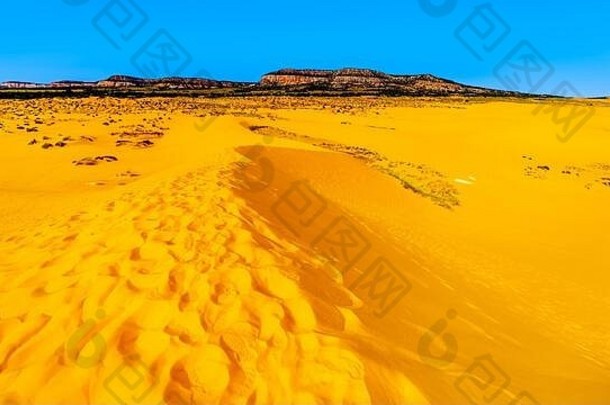 美国犹他州卡纳布县朱红色悬崖边珊瑚粉沙丘州立公园中的沙丘