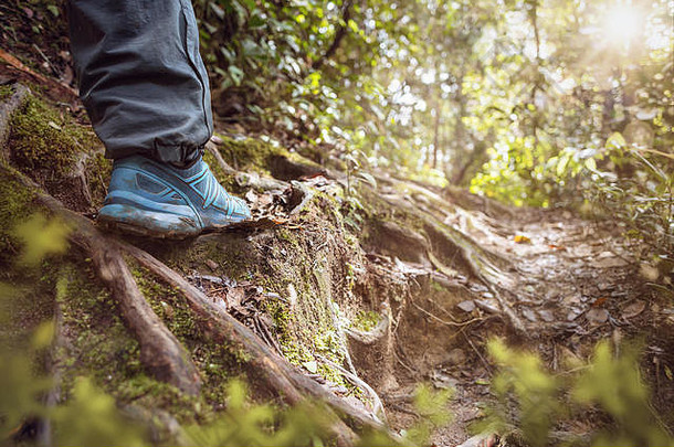 阳光明媚的森林地板，搭配登山鞋
