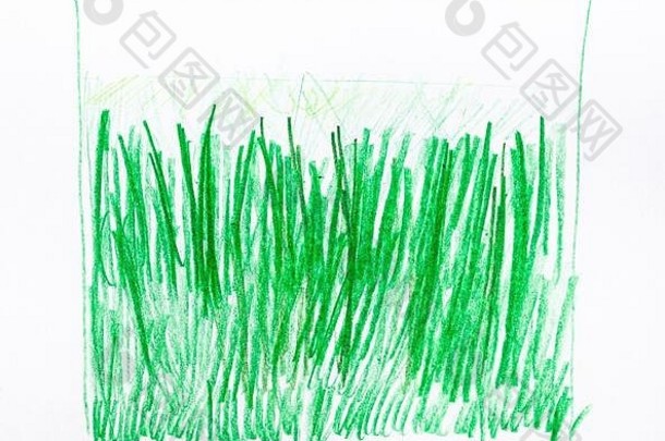 用绿铅笔在白纸上手绘小草训练素描