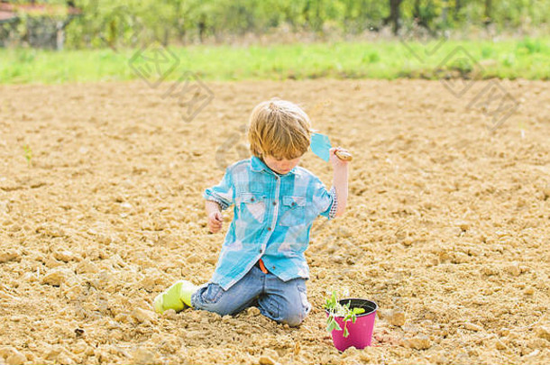 园艺概念。孩子用小铲子和花盆里的植物玩得很开心。田间种植。种植幼苗。花园里的小帮手。男孩坐在地上种花。在农场玩得开心。