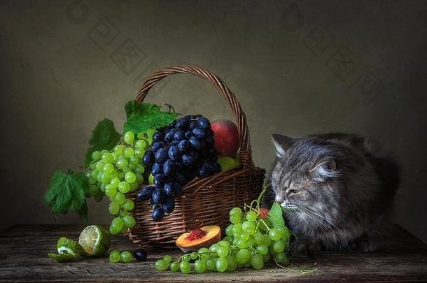 《水果静物》有趣的小猫
