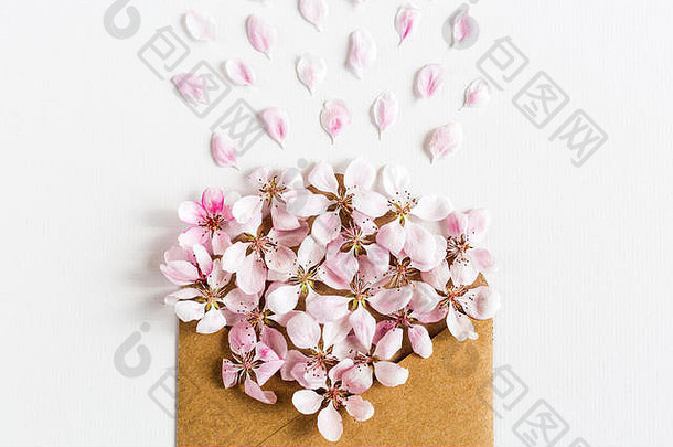 打开的工艺纸信封，白色背景上满是春天盛开的sacura花。特写俯视图。爱的概念。平躺。