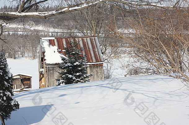 光滑<strong>无痕</strong>的雪通向一个木棚，屋顶生锈，周围是光秃秃的树枝。