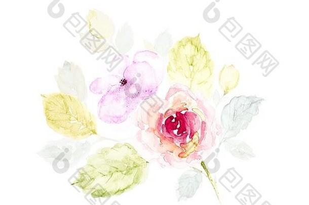 白色背景上的手绘水彩花束。玫瑰粉色的花和叶，用于设计婚礼设计、浪漫爱情、邀请、，