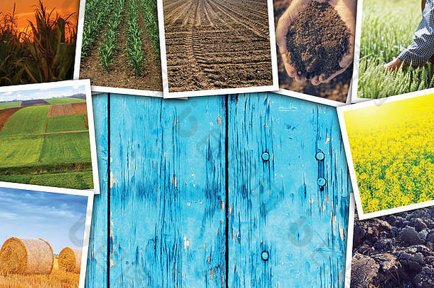 以农业为主题的照片拼贴画，木质背景上有空间