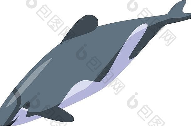 水下海豚图标，等距风格