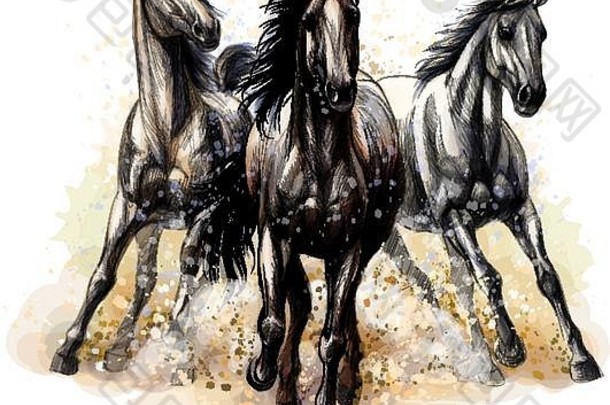 三匹马在一幅水彩手绘素描中疾驰而过