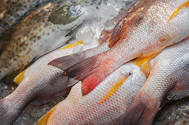 泰国鱼市的白鲷<strong>鱼图片</strong>。