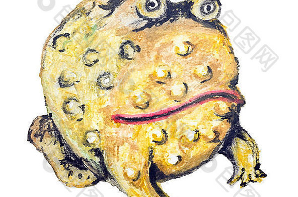 黄色的青蛙蟾蜍蛋孤立的手工制作的水彩绘画插图白色纸艺术背景