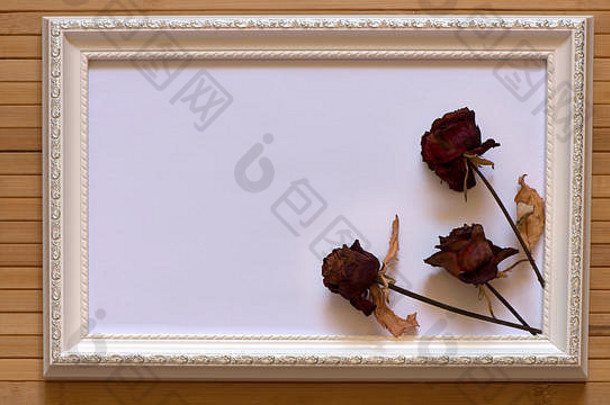 白色框架干红色的玫瑰空白色帆布自然竹子墙水平图片设计输入文本内部