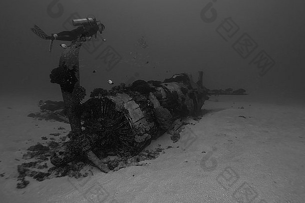 夏威夷水下飞机沉船海盗船潜水网站