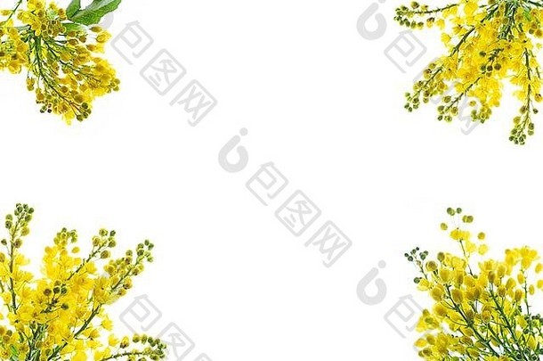 创意图案构成白色背景上黄色花朵的天然枝条，孤立。当代风格。春季复活节概念。平铺，spase。闭合。