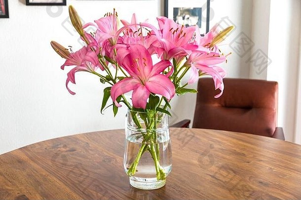 美丽的新鲜的粉红色的百合玻璃壶花瓶不错的木金合欢表格白兰地皮革休息室椅子白色墙