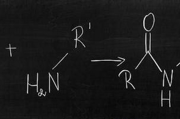 脱水合成（缩合）反应形成酰胺