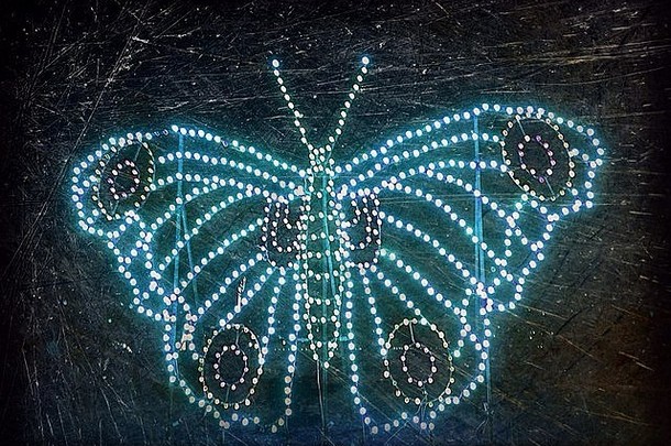 以发光灯泡为插图的蝴蝶